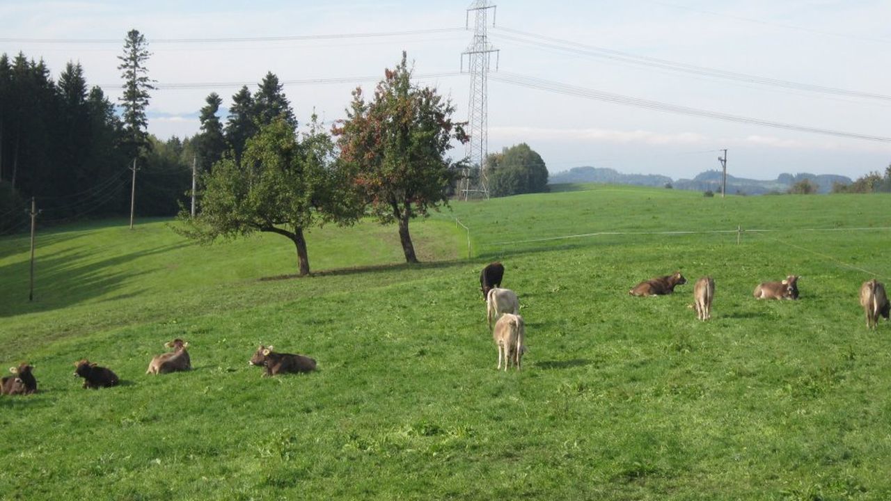 Blick aus dem Wohnzimmer Blick aus dem Wohnzimmer